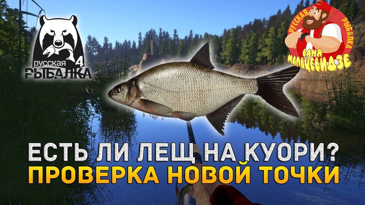 Лещ • Куори • Проверка точки • Русская Рыбалка 4
