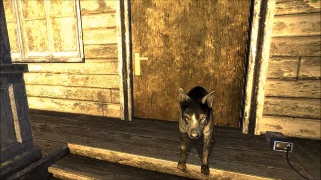 Pro-Gecko Hunter| Fallout New Vegas [#1]| Cypher Play смотреть онлайн