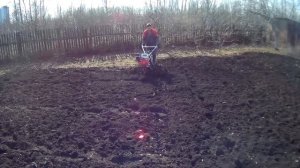 Вспашка огорода мотоблоком BRAIT 135 9 л.с. Первый опыт использования и первые впечатления.