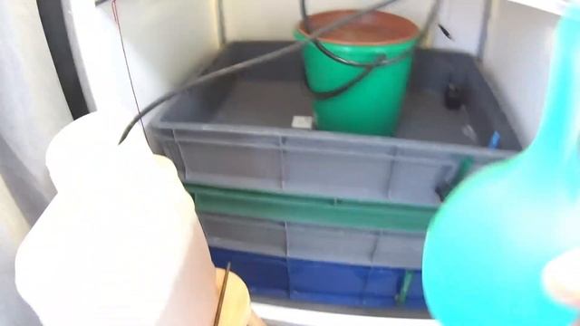 Выращивание на кокосе. Кокосовый субстрат от А до Я. Простым языком