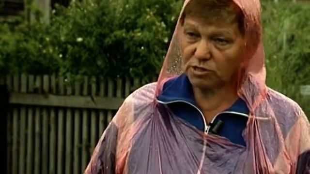 Айва японская: уход, заготовка на зиму смотреть онлайн