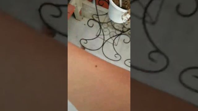 Titebond 3 ultimate, will it hold? смотреть онлайн