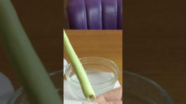 Стебель розы. Часть 2 . Ствол.Холодный фарфор. смотреть онлайн