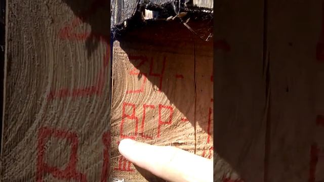 Обозначение деляночного столба в лесу смотреть онлайн