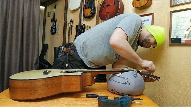 Crafter Костяные порожки Ремонт гитар DEmelyanov