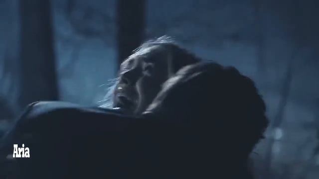 Stefan Salvatore - Believer