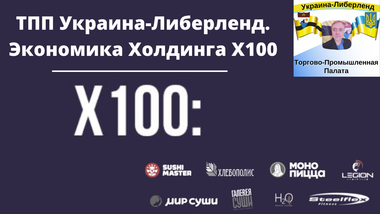 ТПП Украина-Либерленд. Экономика Холдинга Х100 смотреть онлайн