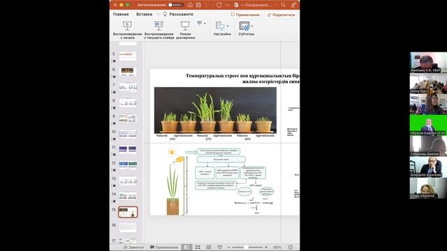Защита диссертации PhD Жанасовой К.Е. смотреть онлайн