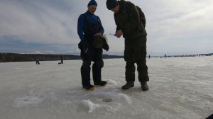 Судак по последнему льду Сташково р.Кама