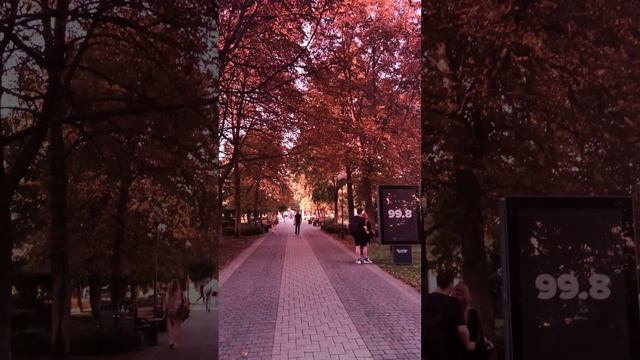 Роман в эфире RomanOnlive