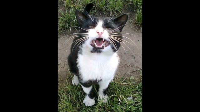 Рыбалка это кайф!!!2013год смотреть онлайн