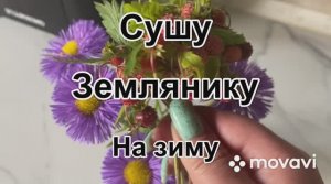 Сушу землянику на зиму