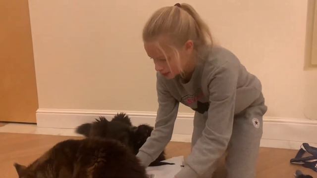 Распаковка КОННОЙ посылки! смотреть онлайн