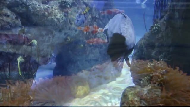 World's First Science Fiction in Autotune: Cavernauts смотреть онлайн