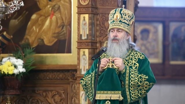 Наша молитва должна быть криком к Богу о помощи: проповедь митр. Арсения в Вербное воскресенье смотреть онлайн