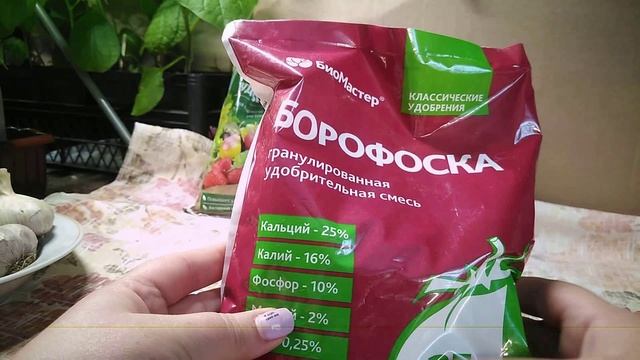 Чеснок.Первые работы.wmv смотреть онлайн