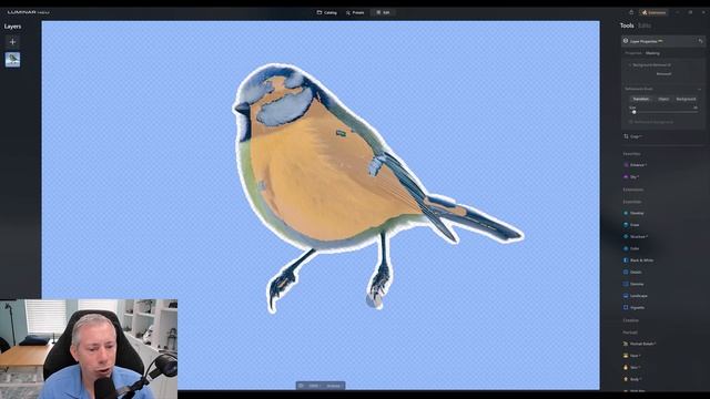 Luminar Neo Background Removal AI - Is It Any Good?