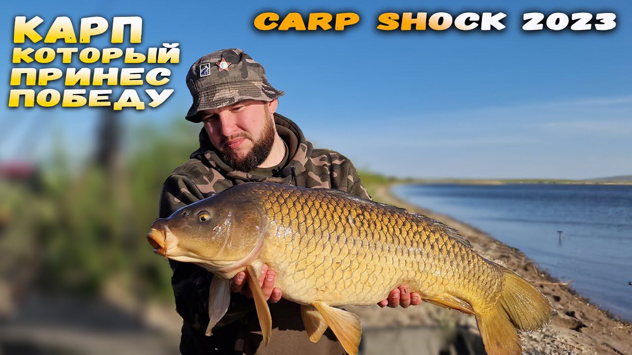 МЫ ПОБЕДИЛИ! Турнир Carp Shock 2023