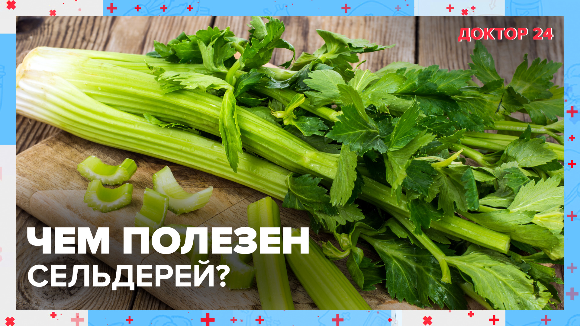 Чем полезен СЕЛЬДЕРЕЙ? | Доктор 24 смотреть онлайн