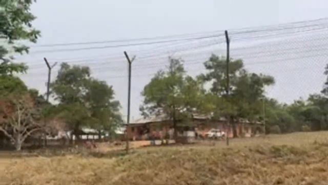 Harbel fire stone in Liberia смотреть онлайн