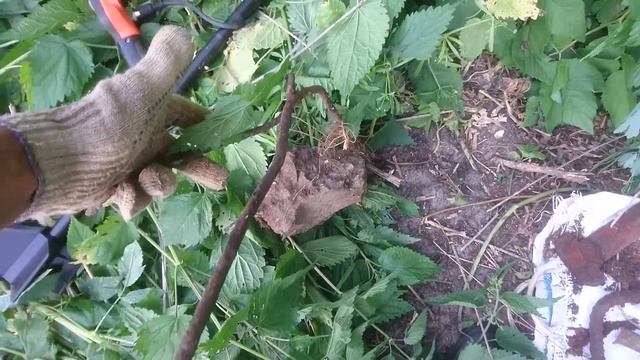 И как я раньше жил без этих находок до этого дня?... смотреть онлайн