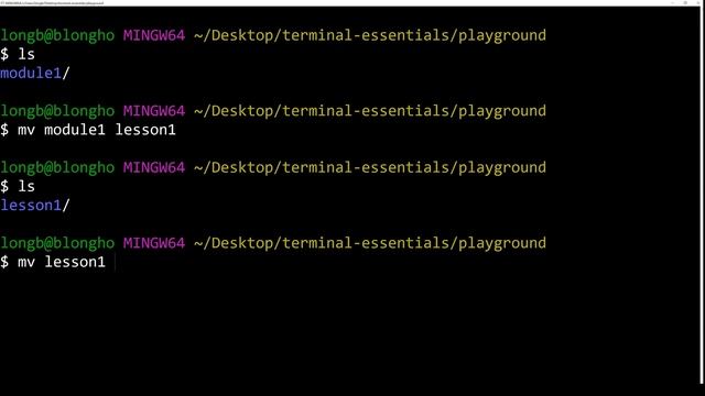 Programming With Berns - Terminal Essentials - 05 How to copy, move and rename files and directorie смотреть онлайн
