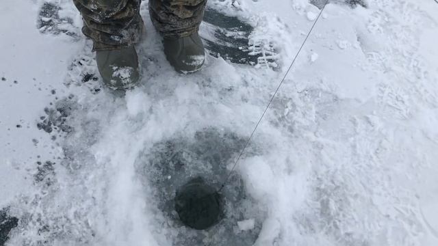 Собирались ловить щуку, но наткнулись на огромную стаю окуней смотреть онлайн