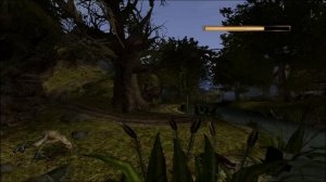 Gothic 2 NotR Speedrun [быстрое прохождение]