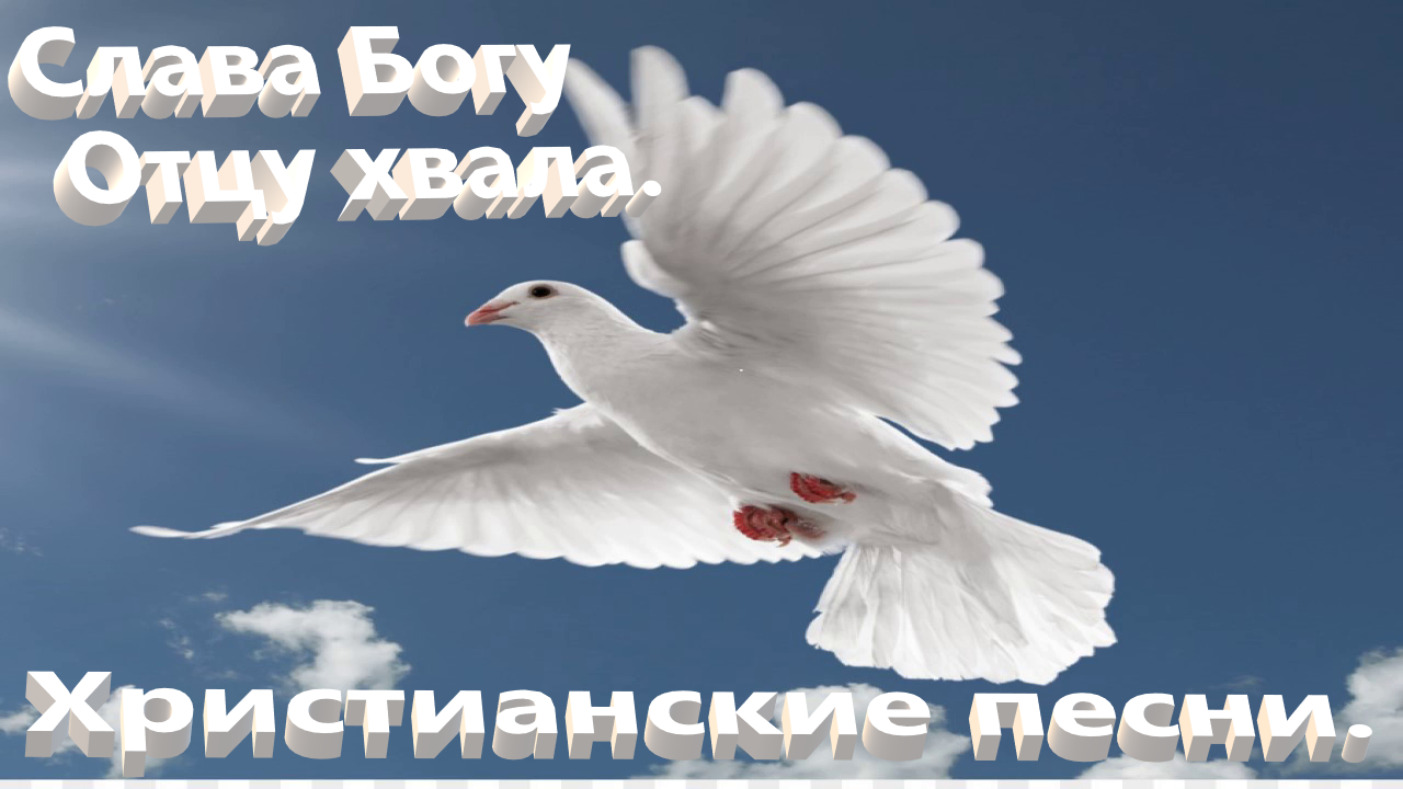 Слава Богу Отцу хвала.Христианские песни. смотреть онлайн
