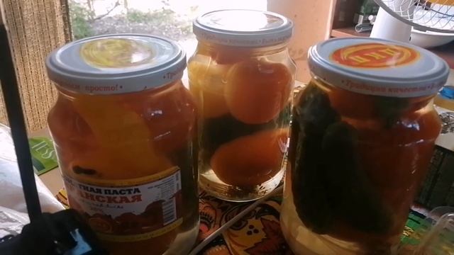 Начала заливать тёплый пол. момордика. салатик. созрел фундук. купорочки.