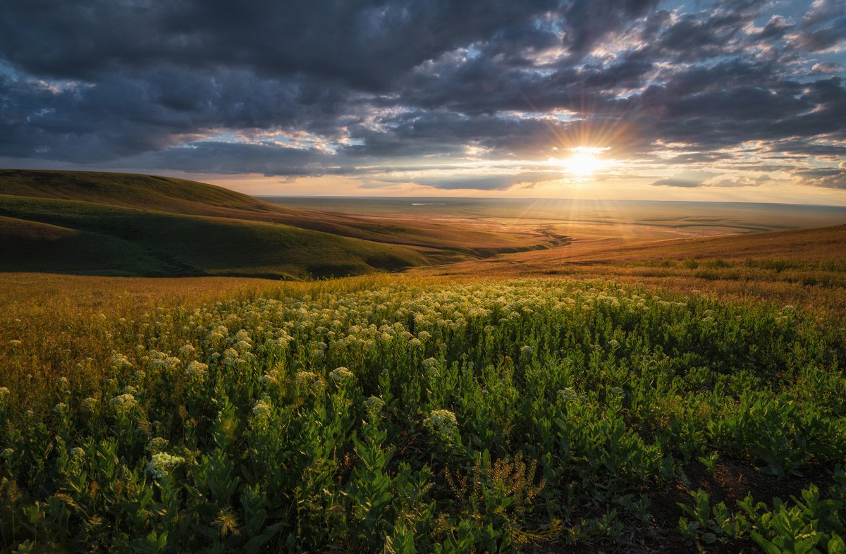 медитация расслабления перед сном. медитация без слов. музыка для медитации онлайн для расслабления смотреть онлайн