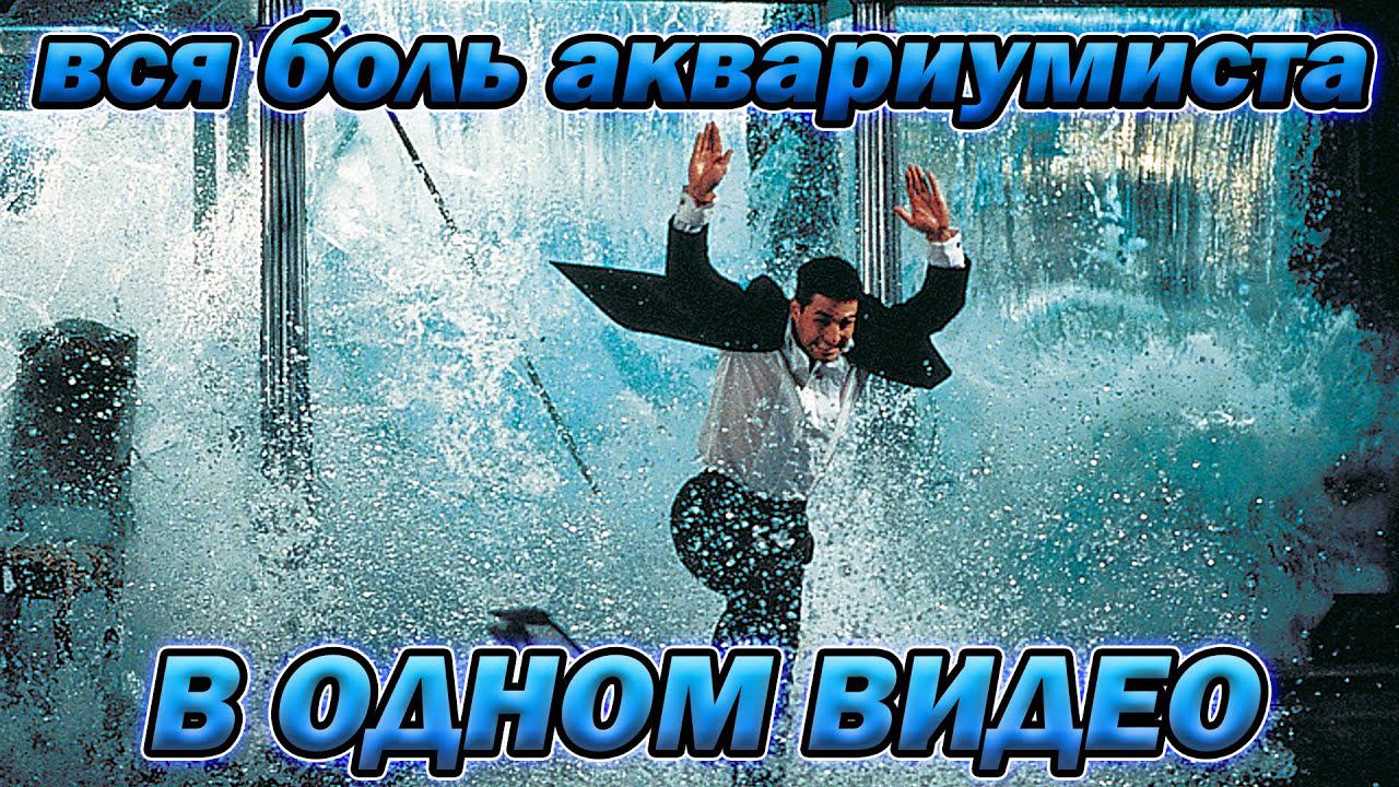 ВСЯ БОЛЬ АКВАРИУМИСТОВ В ОДНОМ ВИДЕО смотреть онлайн