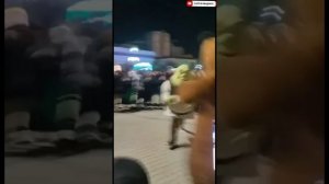 Главный бой 2024 года?Шрек против медведя