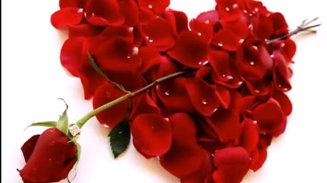 Красивый ролик о любви и страсти.avi смотреть онлайн