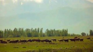 Кыргызстан чуйская обл окраина города Токмак