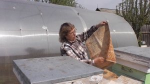 Холстик или плёнка.  Что лучше для пчёл?