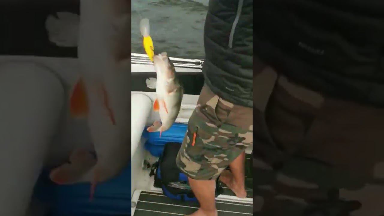 ЗАЧЁТНЫЙ ОКУНЬ смотреть онлайн