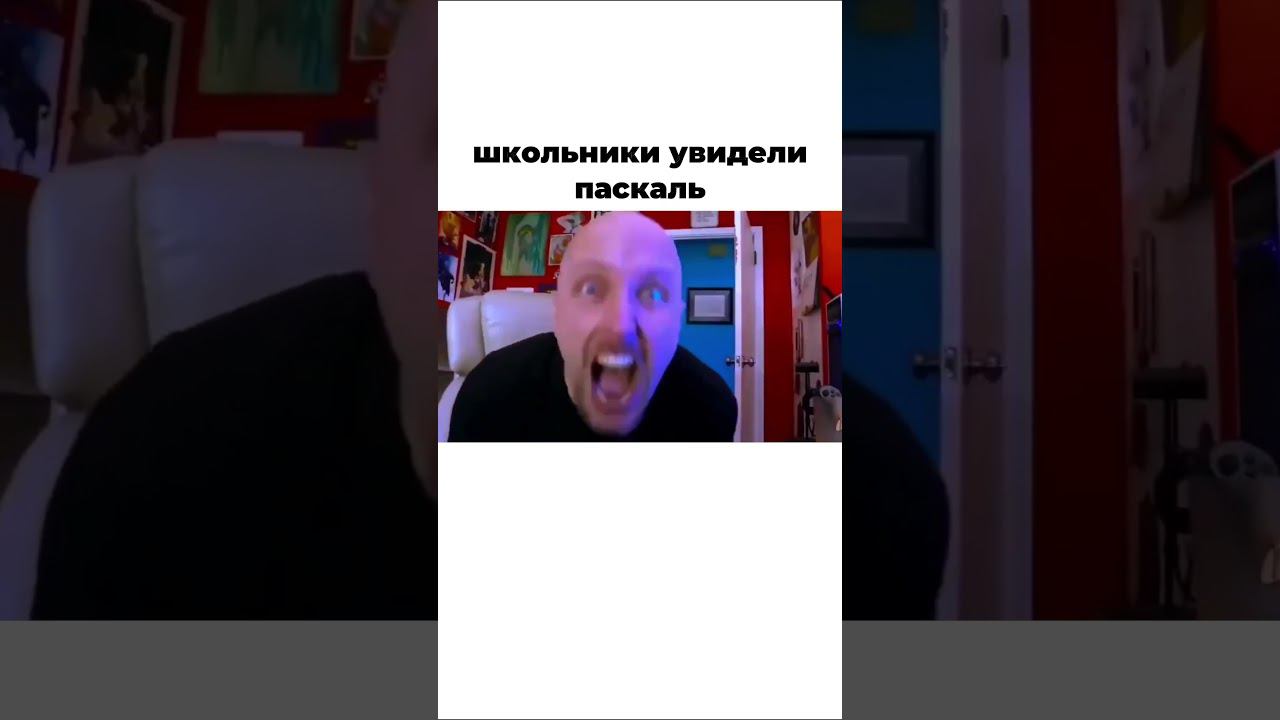 Самая ЖИЗА про языки программирования и it #Shorts #coding #python #programming #datascience #айти смотреть онлайн