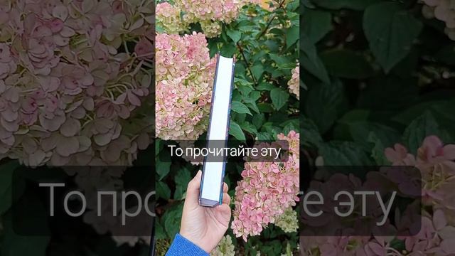 Если вам понравилась эта книга... #books #чтопочитать смотреть онлайн