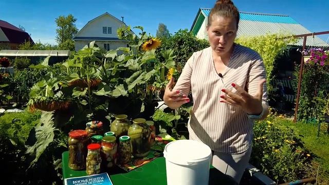 КВАШЕНЫЕ ОГУРЦЫ ПО КУПЕЧЕСКОМУ РЕЦЕПТУ МОИХ ПРЕДКОВ. БЕЗ УКСУСА, НАТУРАЛЬНОГО БРОЖЕНИЯ смотреть онлайн