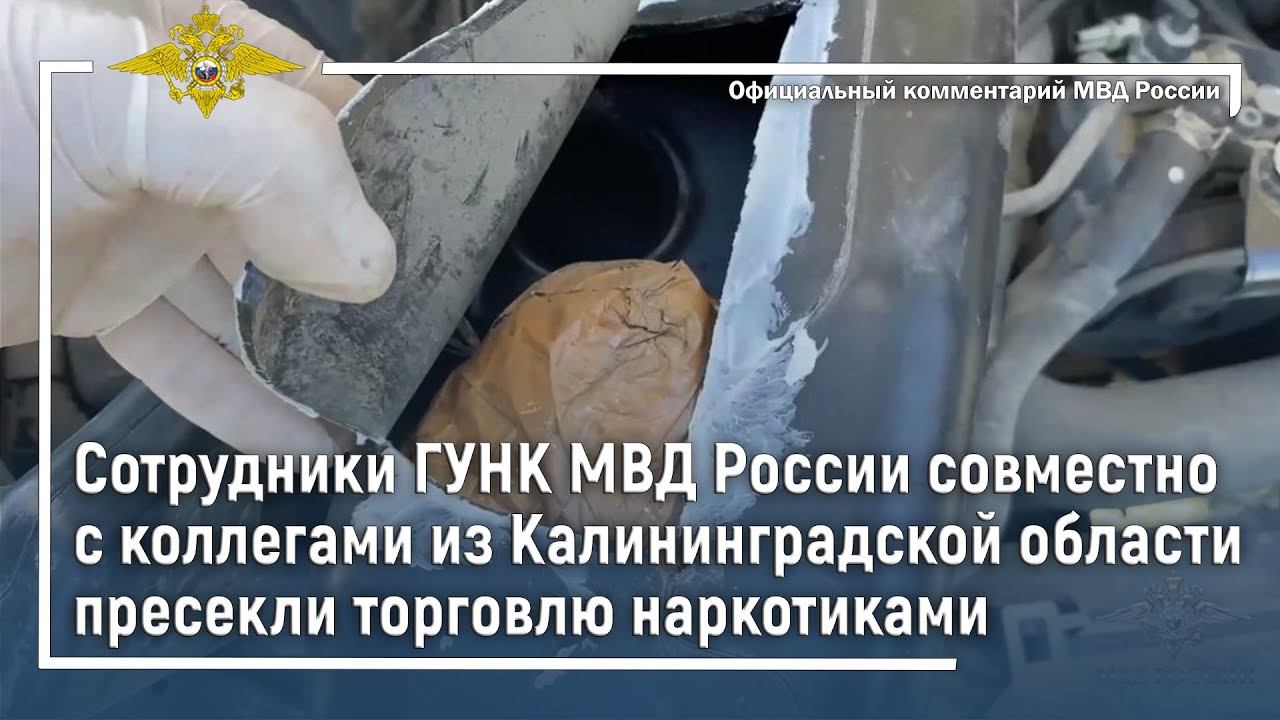 Ирина Волк: Сотрудники ГУНК МВД России с коллегами из Калининграда пресекли торговлю наркотиками смотреть онлайн