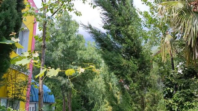 Зоопарк "Сказка". Ялта смотреть онлайн