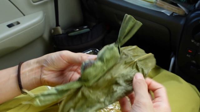【新潟県/車中泊旅】節約する車中泊旅。夜ご飯はO型150円飯。 смотреть онлайн