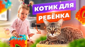 Котик и малыш?? Настоящие друзья?
