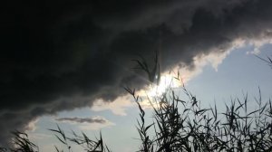 Алиса - Горько