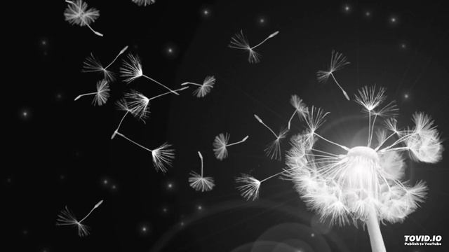 Serebro – Между нами любовь (Amice Remix)