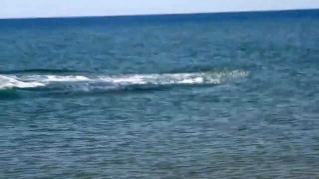 Поймали самого быстрого дельфина. Черное море. смотреть онлайн