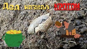 Назвали КРОТОМ. Накопали кучу МОНЕТ. Коп монет с металлоискателем.