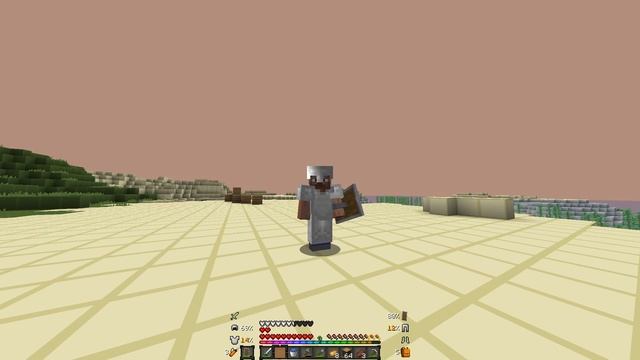 (Ended) New Best CRACKED Public Lifesteal SMP (1.18 1.17.1) смотреть онлайн