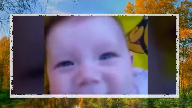 Смотреть видео лучшие приколы 5 смотреть онлайн